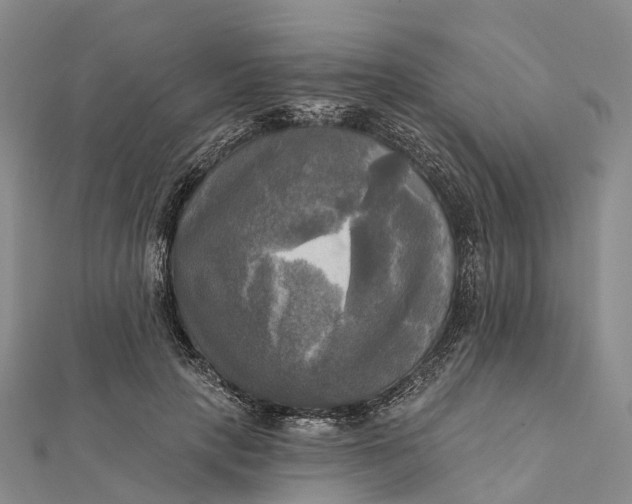 X0000112100649200908251150