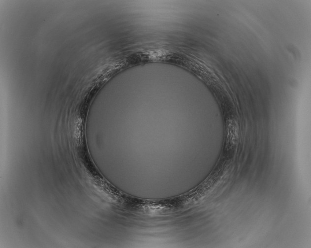 X0000112100650200908251150