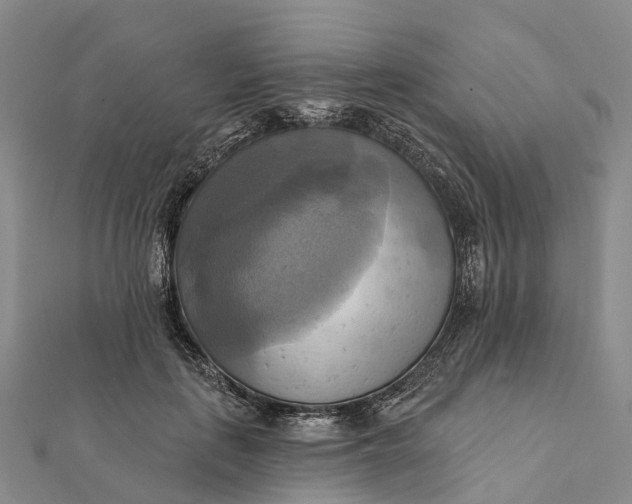 X0000112100651200908251150