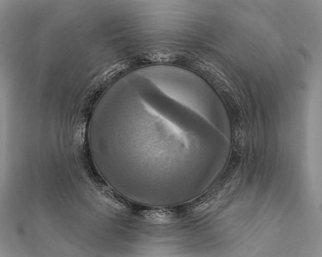 X0000112100652200908251150