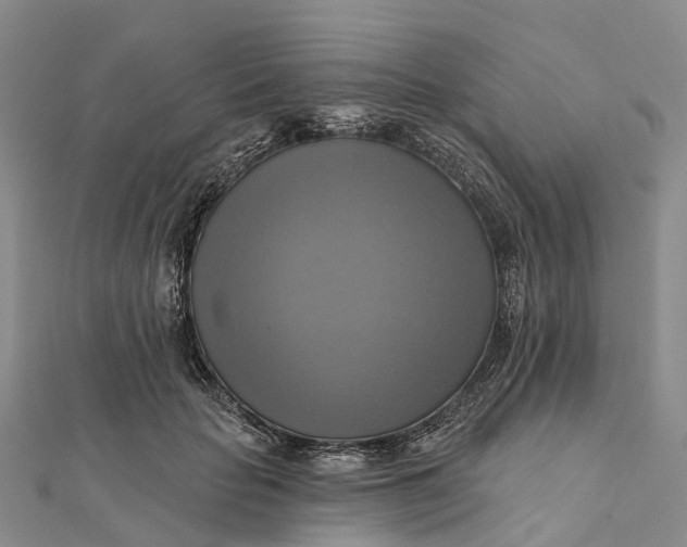 X0000112100653200908251150