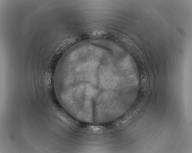 X0000112100654200908251150