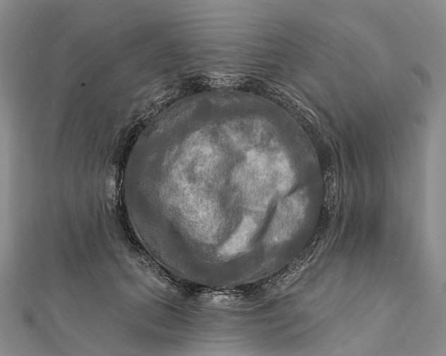 X0000112100655200908251150