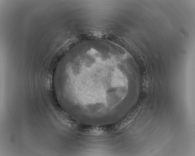 X0000112100656200908251150