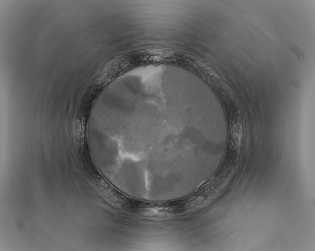 X0000112100657200908251150