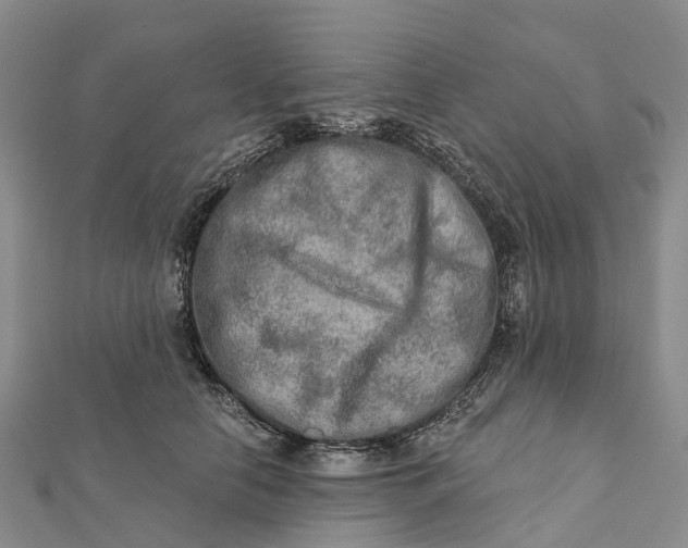 X0000112100658200908251151