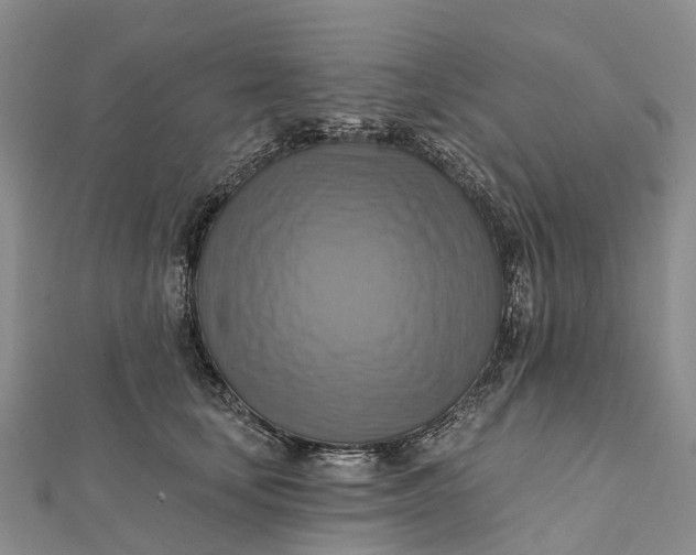 X0000112100659200908251151