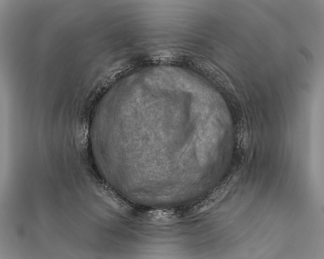 X0000112100660200908251151