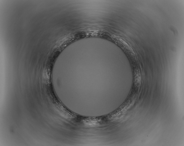 X0000112100661200908251151