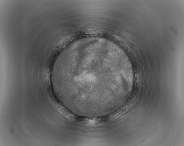 X0000112100662200908251151