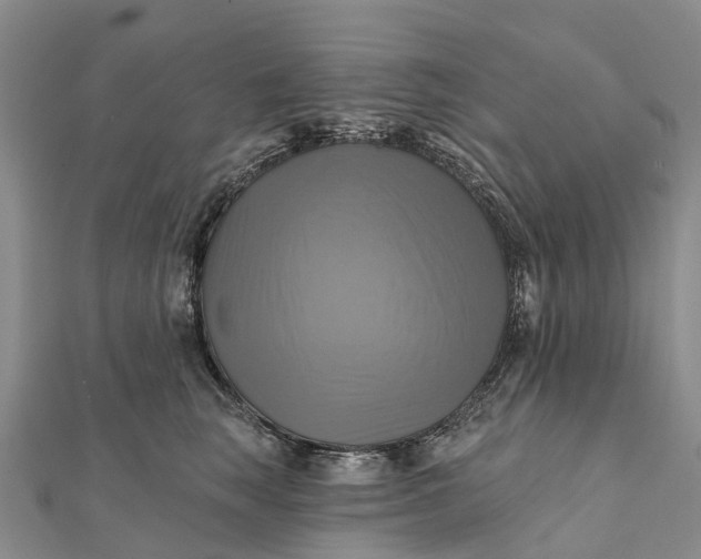 X0000112100663200908251151