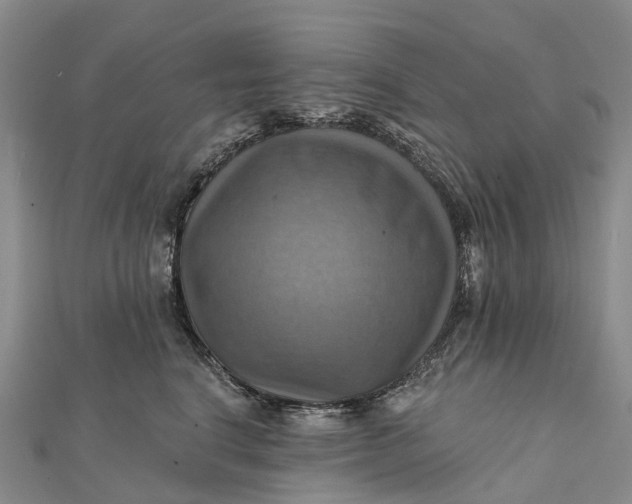 X0000112100664200908251151