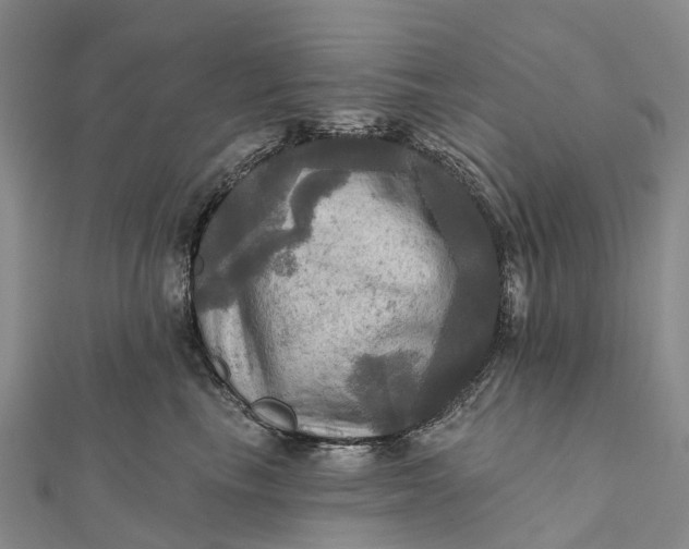 X0000112100665200908251151