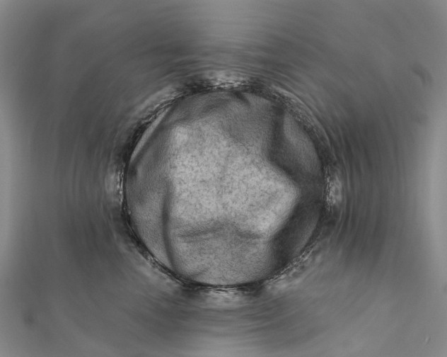 X0000112100666200908251151