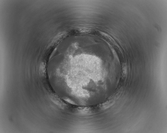 X0000112100667200908251151