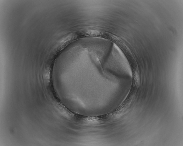 X0000112100668200908251151