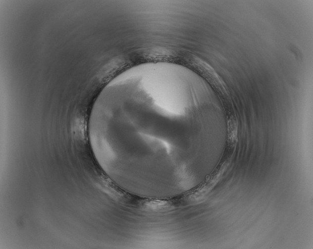 X0000112100669200908251151