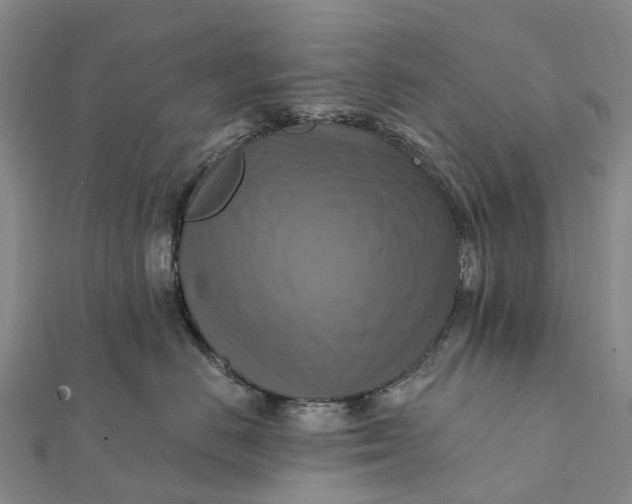 X0000112100670200908251151