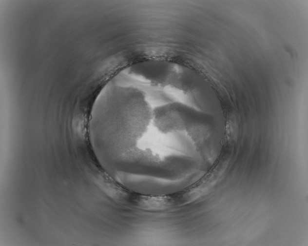 X0000112100671200908251151