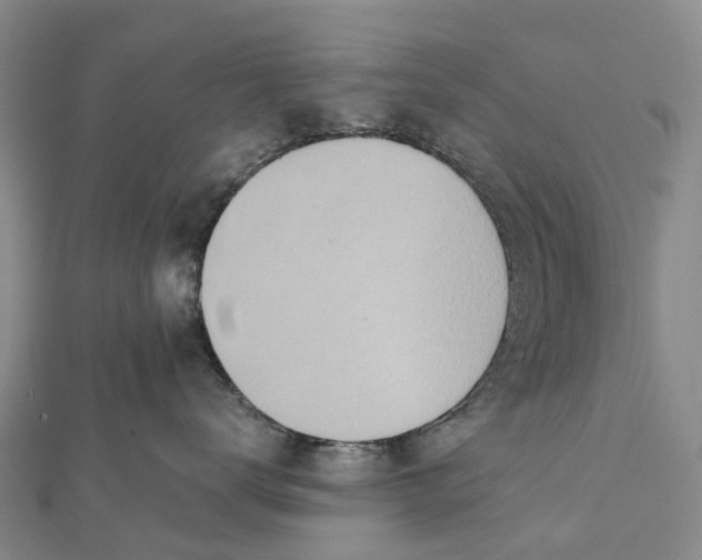 X0000112100672200908251151