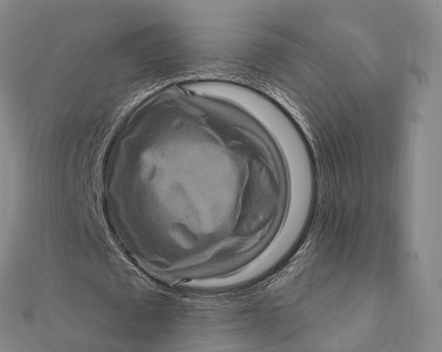 X0000112100673200908251150