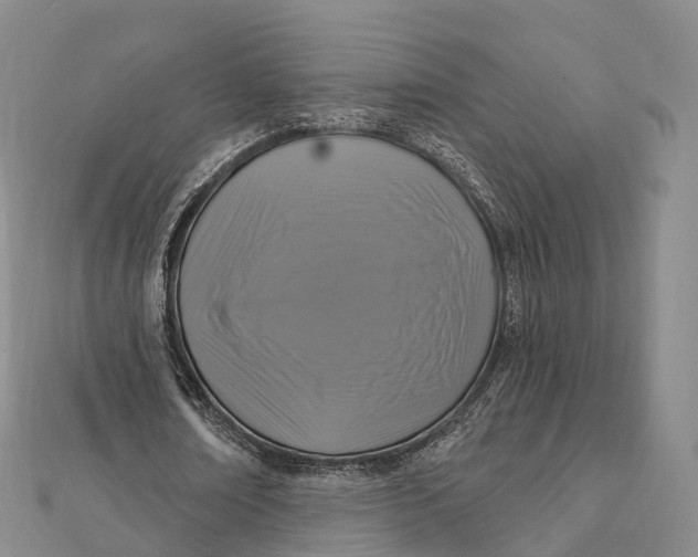 X0000112100674200908251150