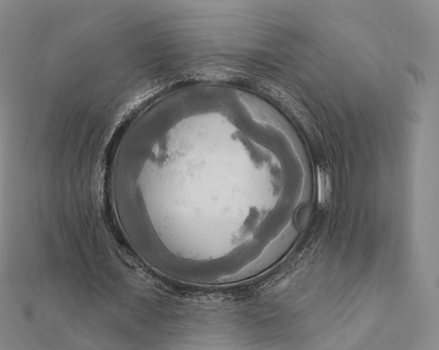 X0000112100675200908251150