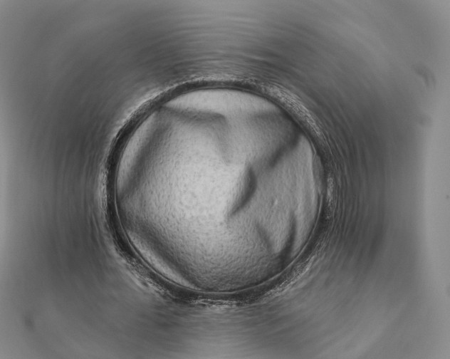 X0000112100676200908251150