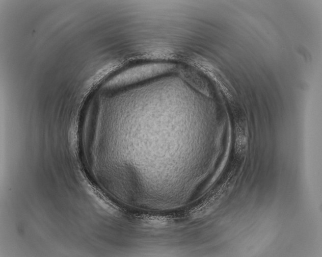 X0000112100677200908251150