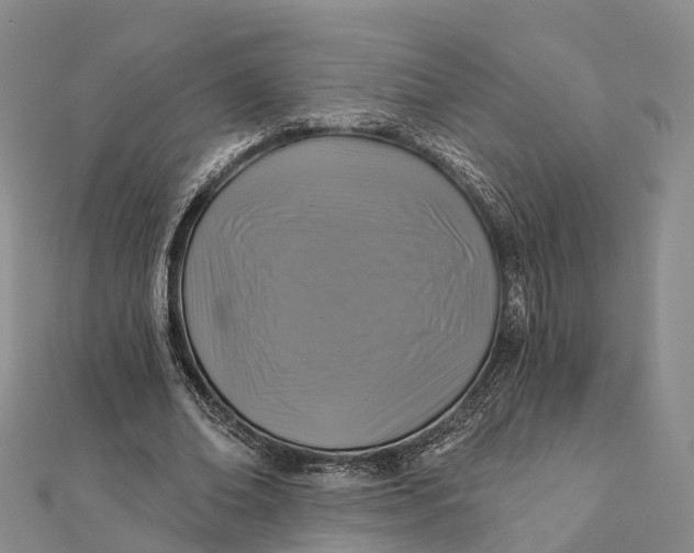 X0000112100678200908251150