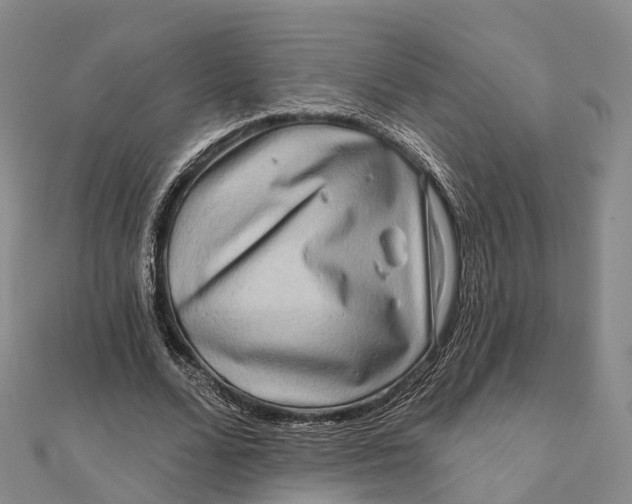 X0000112100680200908251150