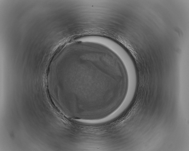 X0000112100681200908251150