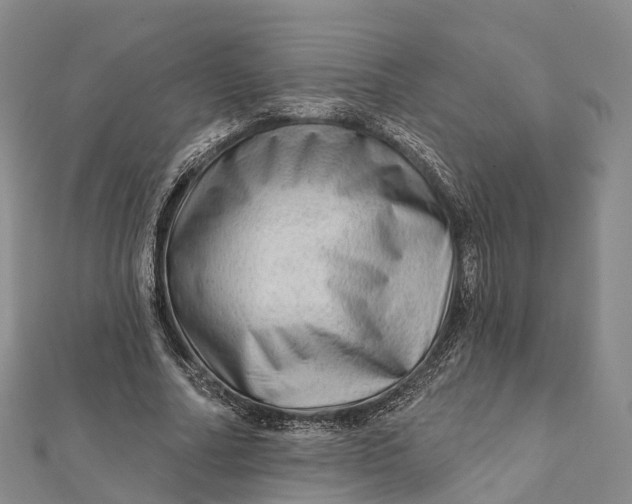 X0000112100682200908251150