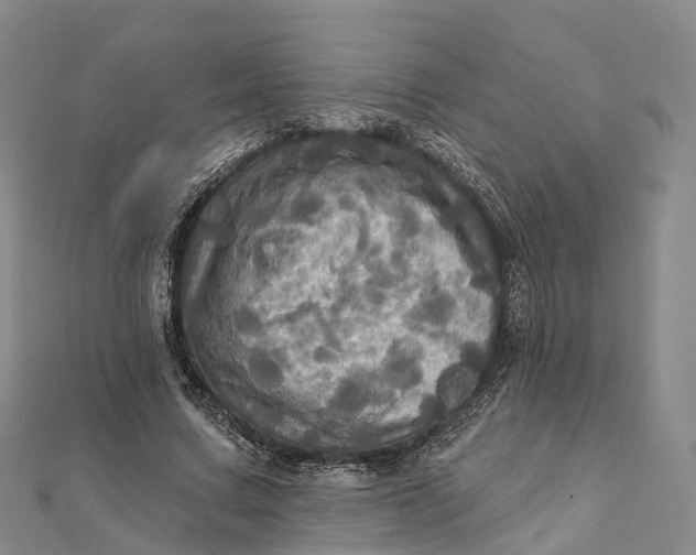 X0000112100683200908251150