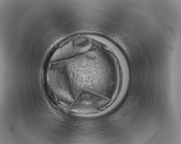 X0000112100684200908251150