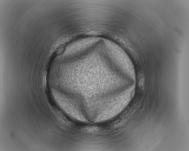 X0000112100685200908251150