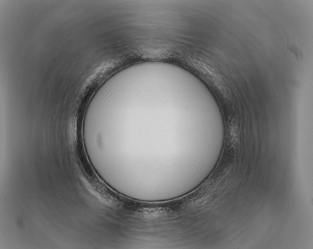 X0000112100686200908251150