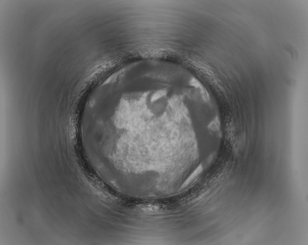 X0000112100687200908251150