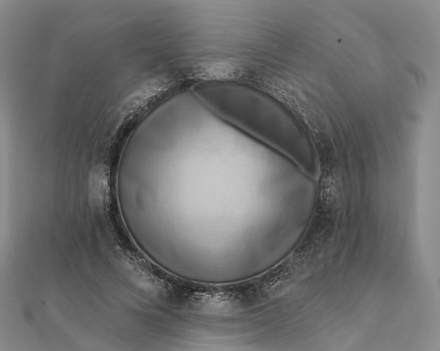 X0000112100688200908251150