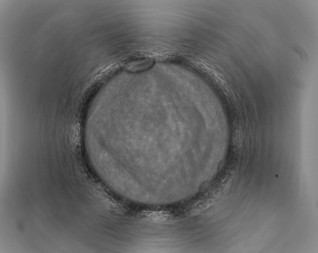 X0000112100689200908251150