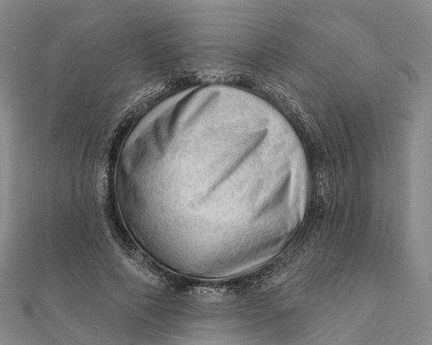 X0000112100690200908251150