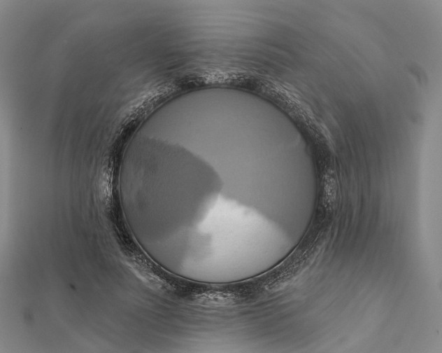 X0000112100691200908251150