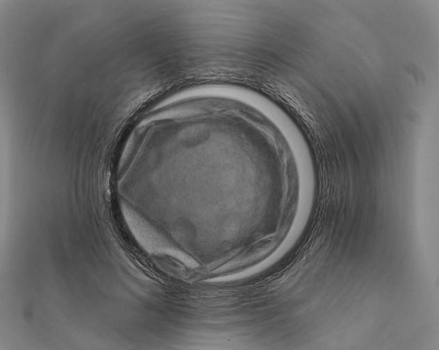 X0000112100692200908251150