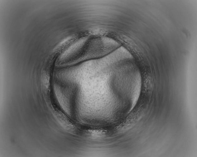 X0000112100693200908251150