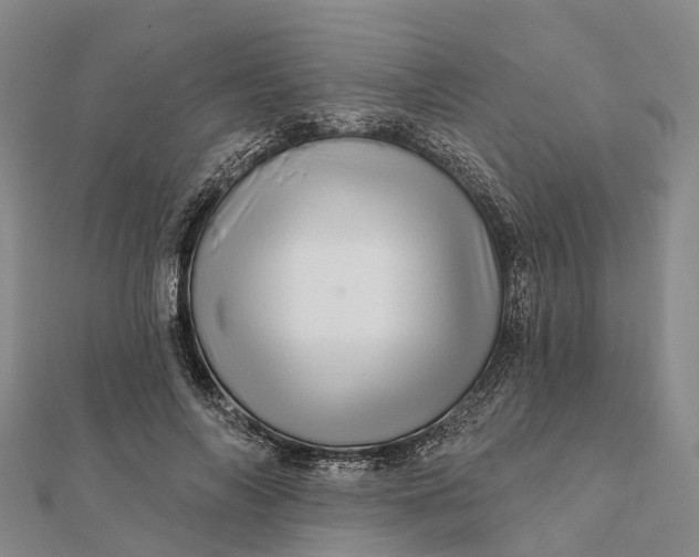 X0000112100694200908251150