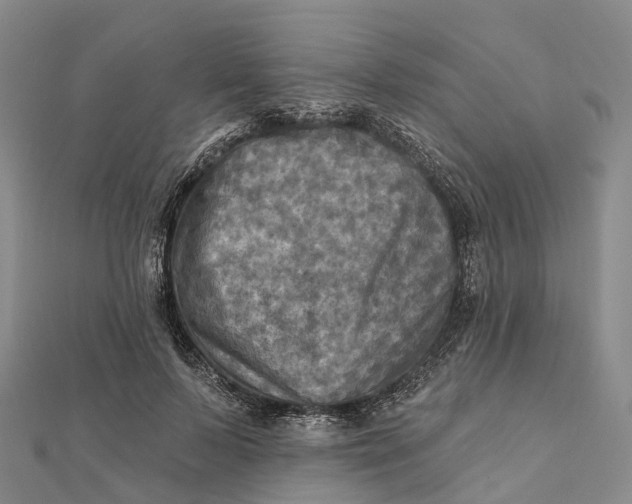 X0000112100695200908251150