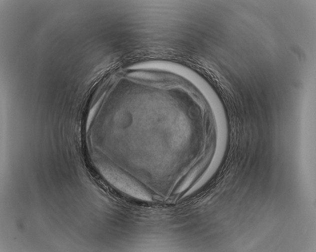 X0000112100696200908251150