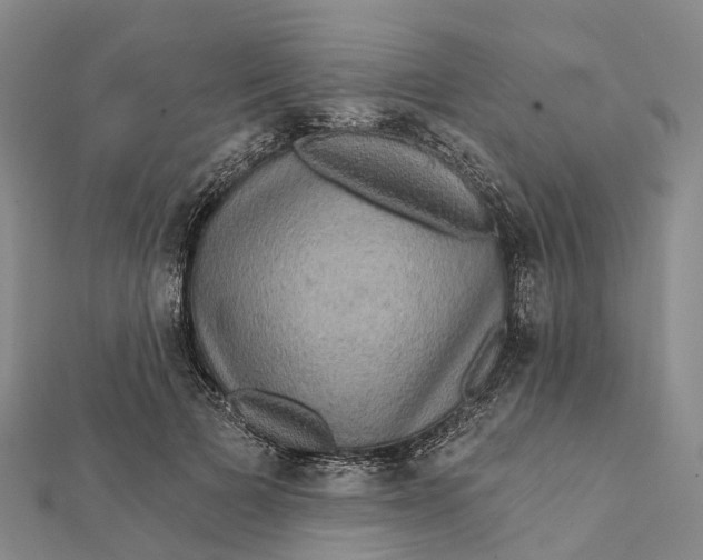 X0000112100697200908251150