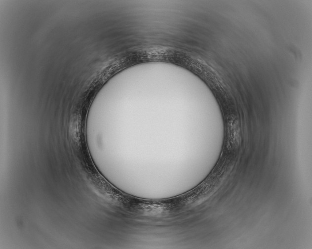 X0000112100698200908251150