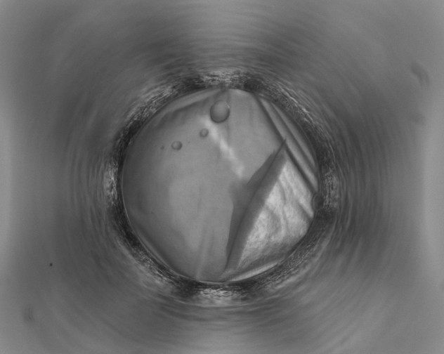 X0000112100699200908251150